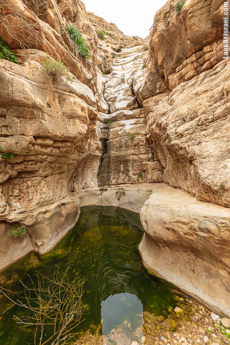 Ущелья Вахиха (Вахида) - от Кохав а-Шахар к Мевуот Йерихо | ואדי ואחיחה | LookAtIsrael.com - Фото путешествия по Израилю