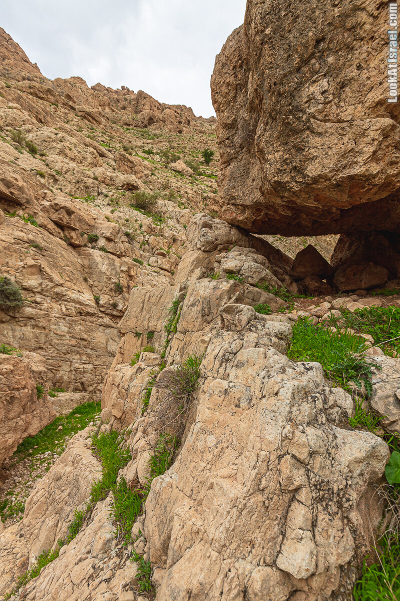 Ущелья Вахиха (Вахида) - от Кохав а-Шахар к Мевуот Йерихо | ואדי ואחיחה | LookAtIsrael.com - Фото путешествия по Израилю
