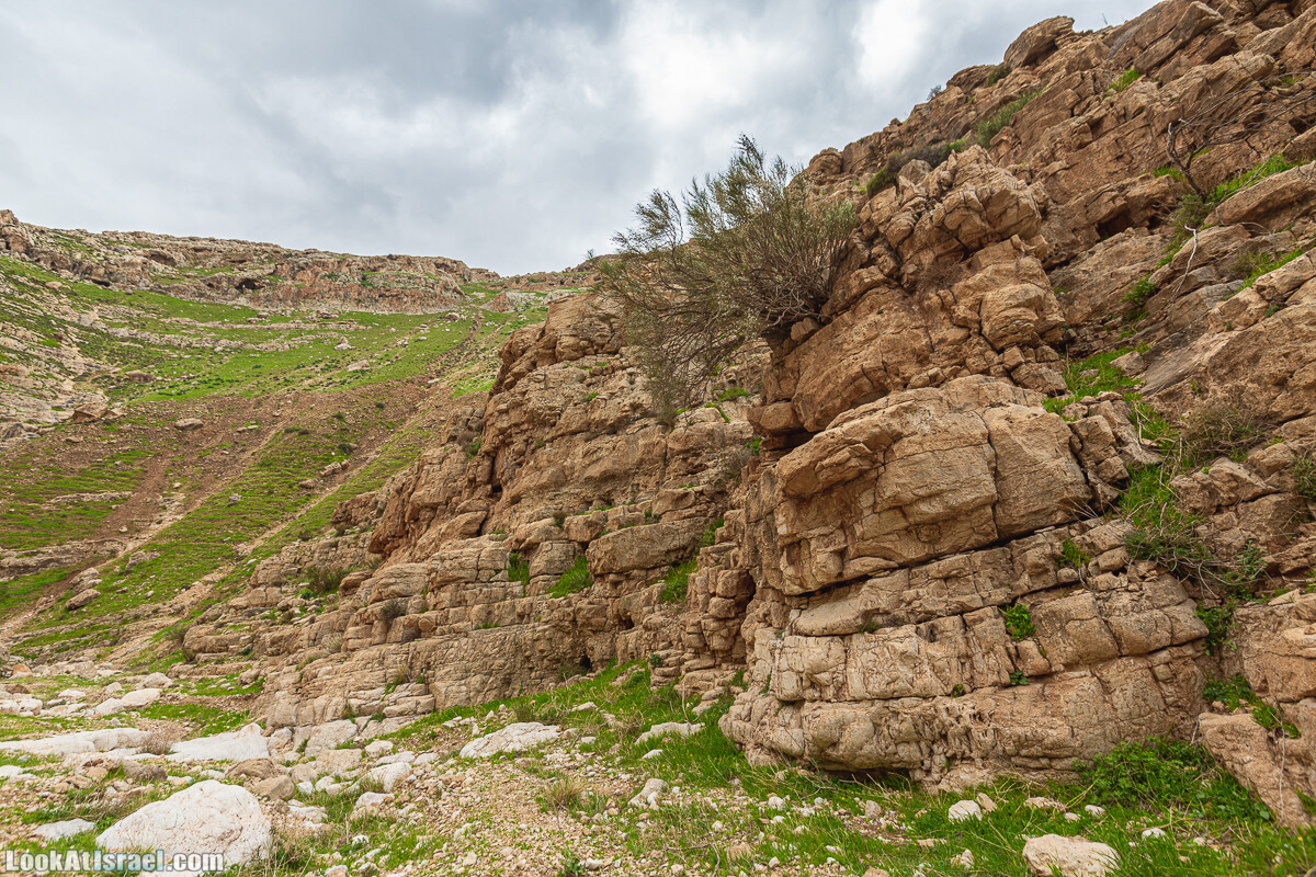 Ущелья Вахиха (Вахида) - от Кохав а-Шахар к Мевуот Йерихо | ואדי ואחיחה | LookAtIsrael.com - Фото путешествия по Израилю