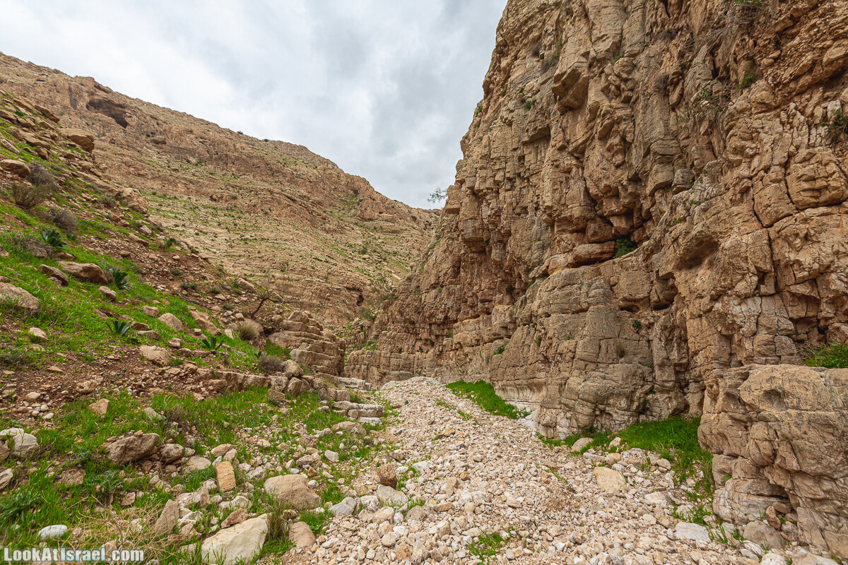 Ущелья Вахиха (Вахида) - от Кохав а-Шахар к Мевуот Йерихо | ואדי ואחיחה | LookAtIsrael.com - Фото путешествия по Израилю