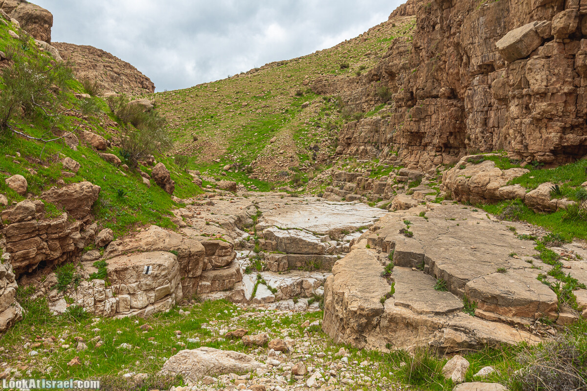 Ущелья Вахиха (Вахида) - от Кохав а-Шахар к Мевуот Йерихо | ואדי ואחיחה | LookAtIsrael.com - Фото путешествия по Израилю