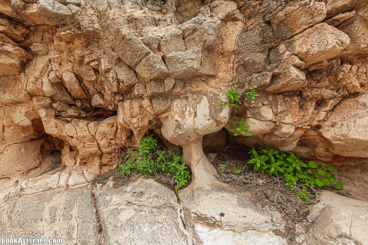 Ущелья Вахиха (Вахида) - от Кохав а-Шахар к Мевуот Йерихо | ואדי ואחיחה | LookAtIsrael.com - Фото путешествия по Израилю