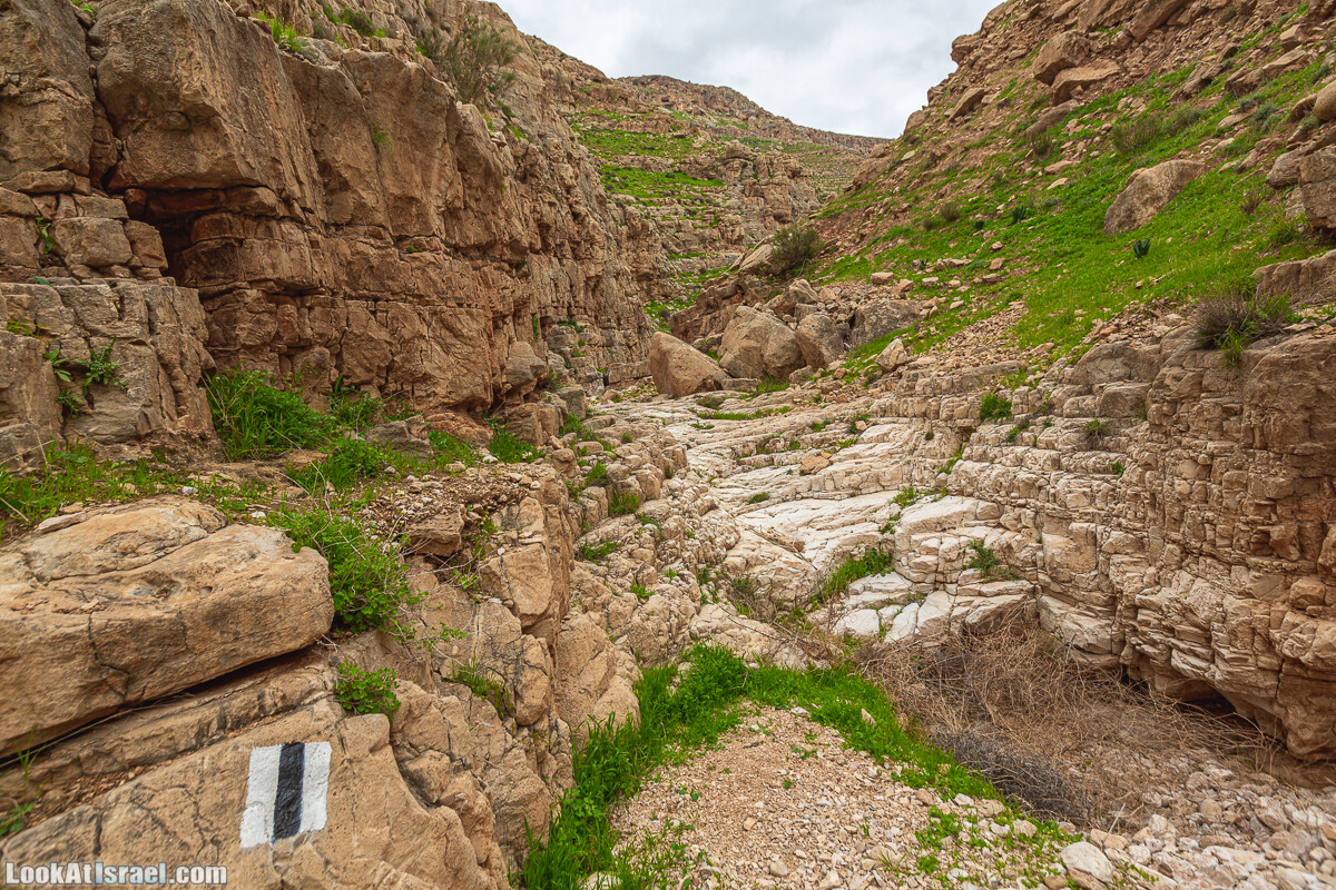 Ущелья Вахиха (Вахида) - от Кохав а-Шахар к Мевуот Йерихо | ואדי ואחיחה | LookAtIsrael.com - Фото путешествия по Израилю
