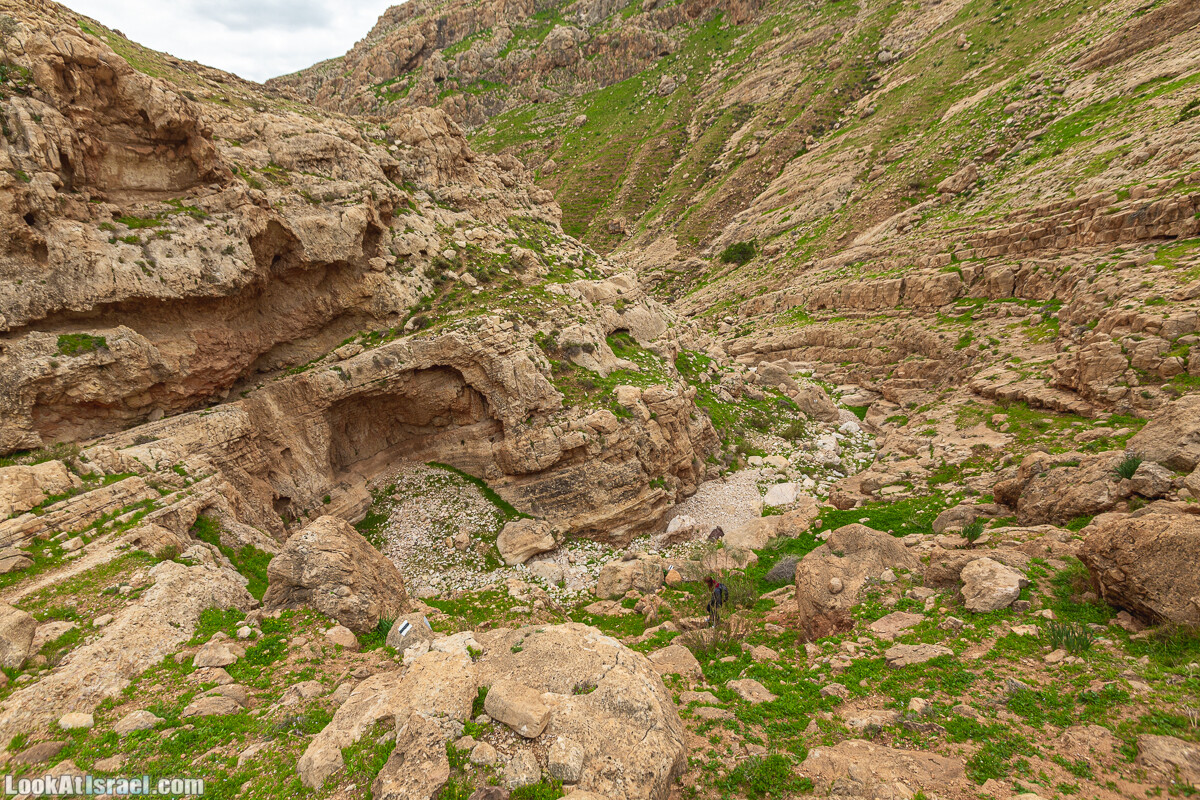 Ущелья Вахиха (Вахида) - от Кохав а-Шахар к Мевуот Йерихо | ואדי ואחיחה | LookAtIsrael.com - Фото путешествия по Израилю