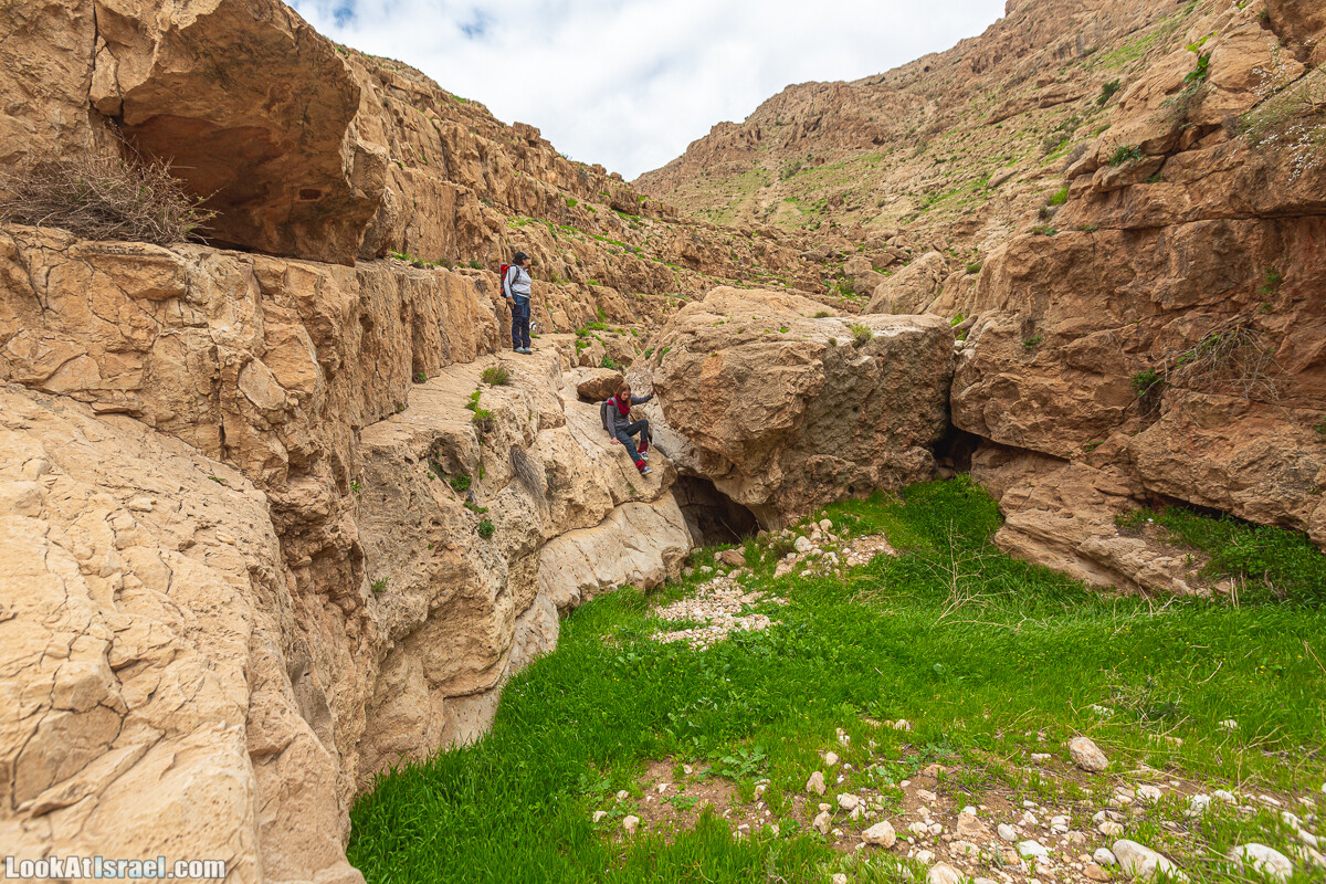 Ущелья Вахиха (Вахида) - от Кохав а-Шахар к Мевуот Йерихо | ואדי ואחיחה | LookAtIsrael.com - Фото путешествия по Израилю