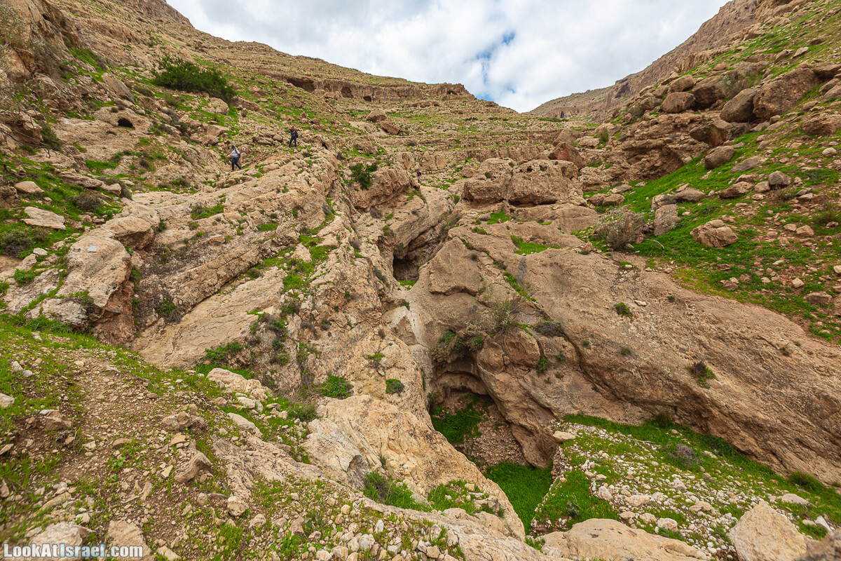 Ущелья Вахиха (Вахида) - от Кохав а-Шахар к Мевуот Йерихо | ואדי ואחיחה | LookAtIsrael.com - Фото путешествия по Израилю