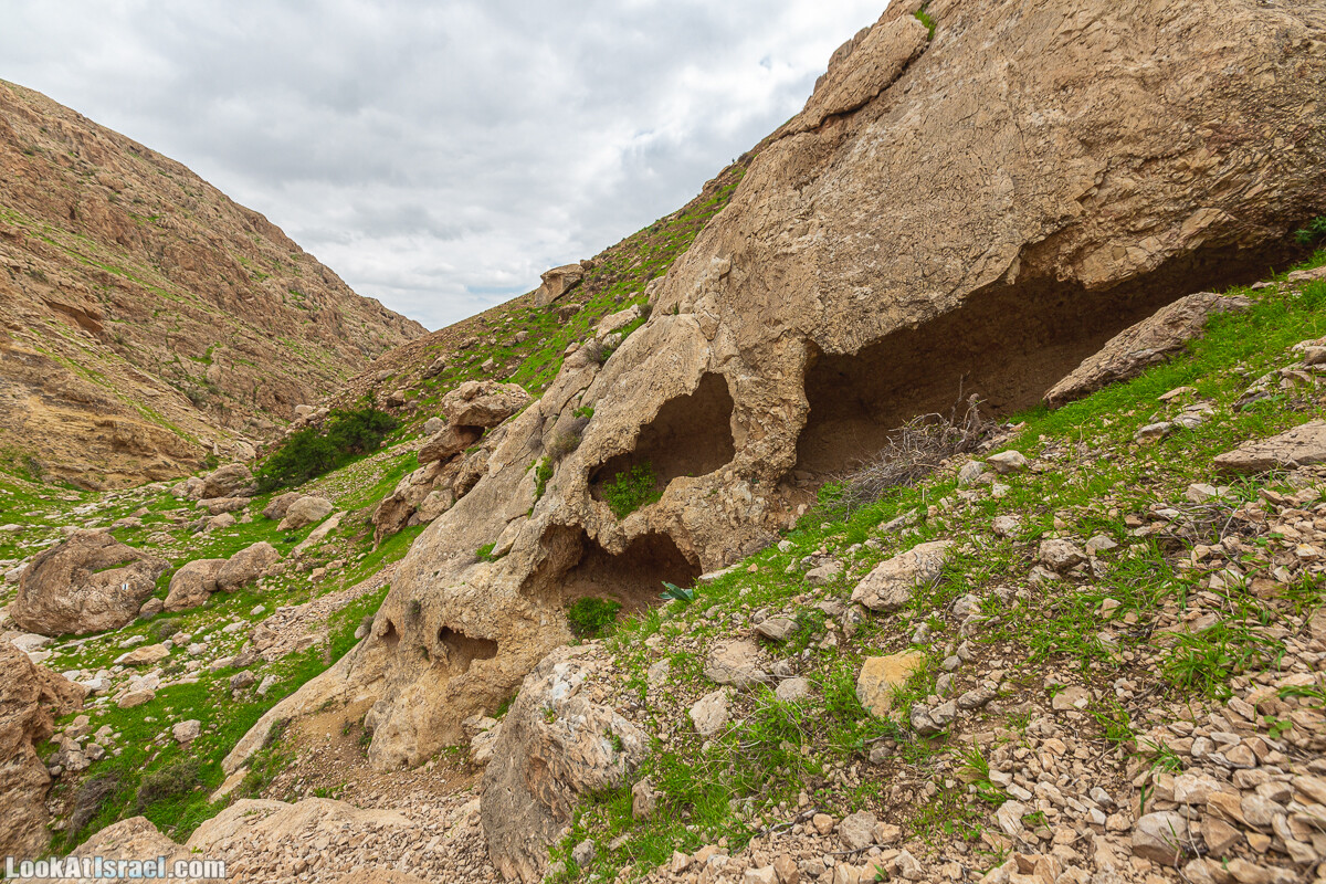 Ущелья Вахиха (Вахида) - от Кохав а-Шахар к Мевуот Йерихо | ואדי ואחיחה | LookAtIsrael.com - Фото путешествия по Израилю