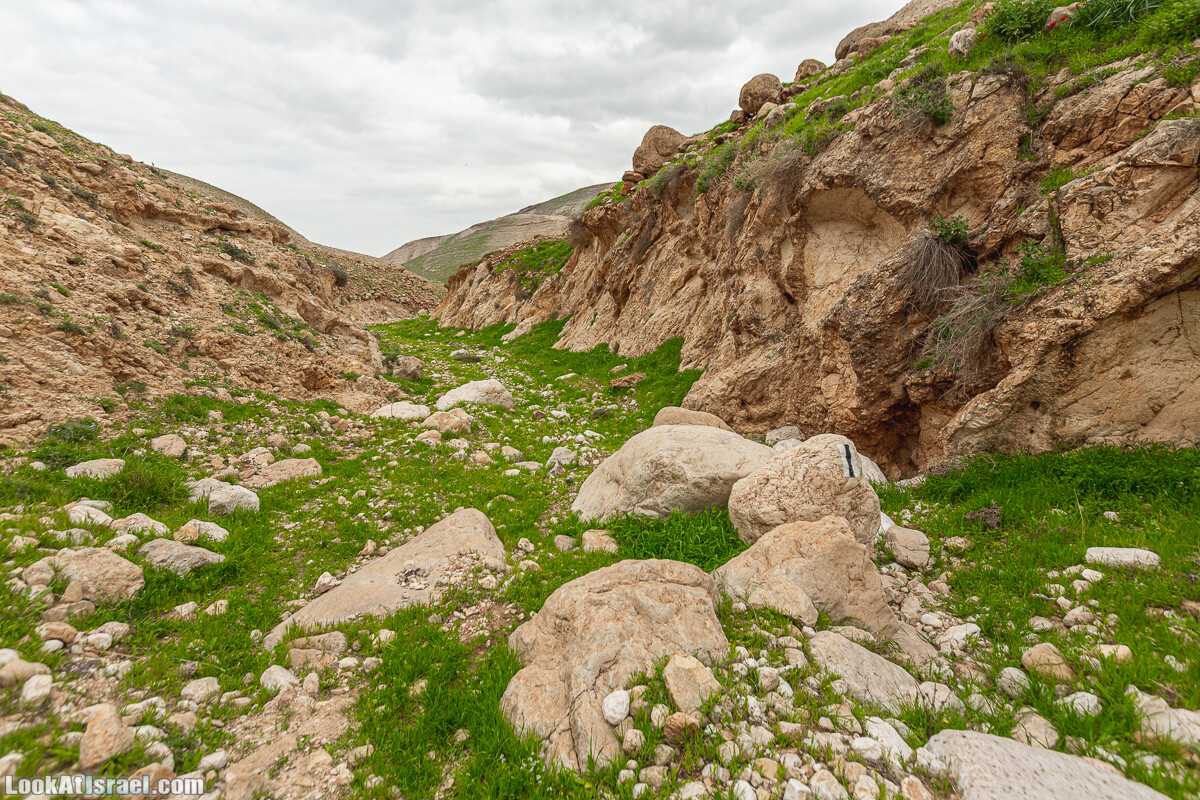Ущелья Вахиха (Вахида) - от Кохав а-Шахар к Мевуот Йерихо | ואדי ואחיחה | LookAtIsrael.com - Фото путешествия по Израилю