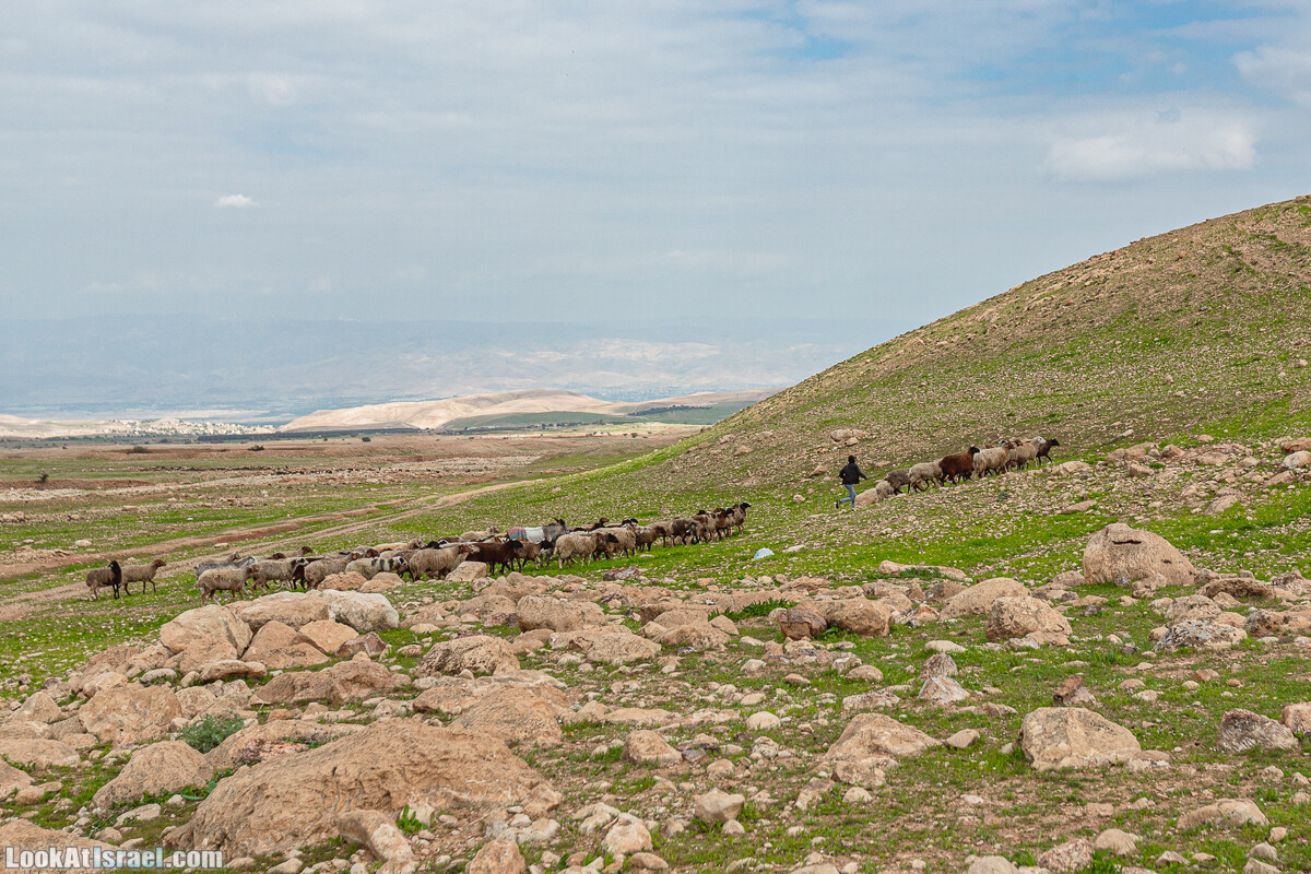 Ущелья Вахиха (Вахида) - от Кохав а-Шахар к Мевуот Йерихо | ואדי ואחיחה | LookAtIsrael.com - Фото путешествия по Израилю
