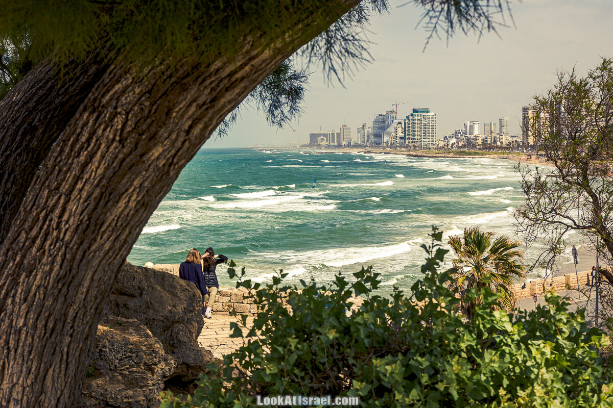 Случайные фотографии из жизни Тель-Авива | LookAtIsrael.com - Фото путешествия по Израилю