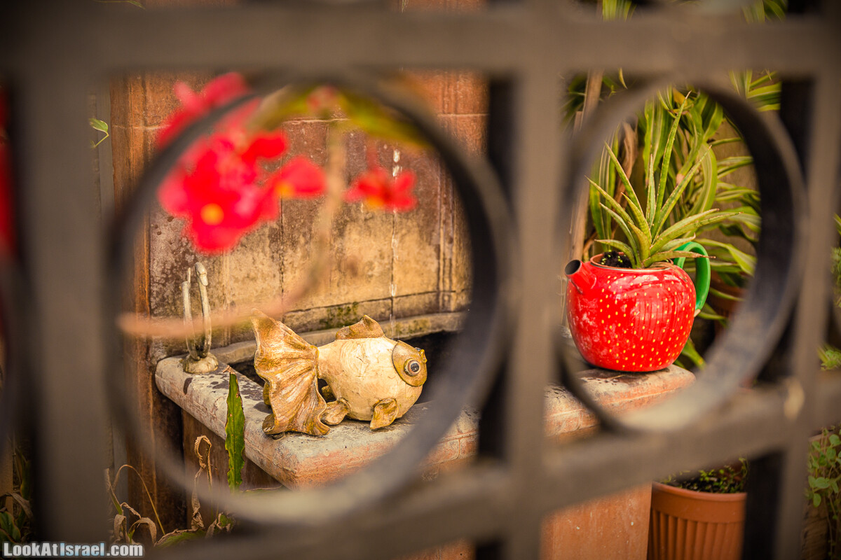 Случайные фотографии из жизни Тель-Авива | LookAtIsrael.com - Фото путешествия по Израилю