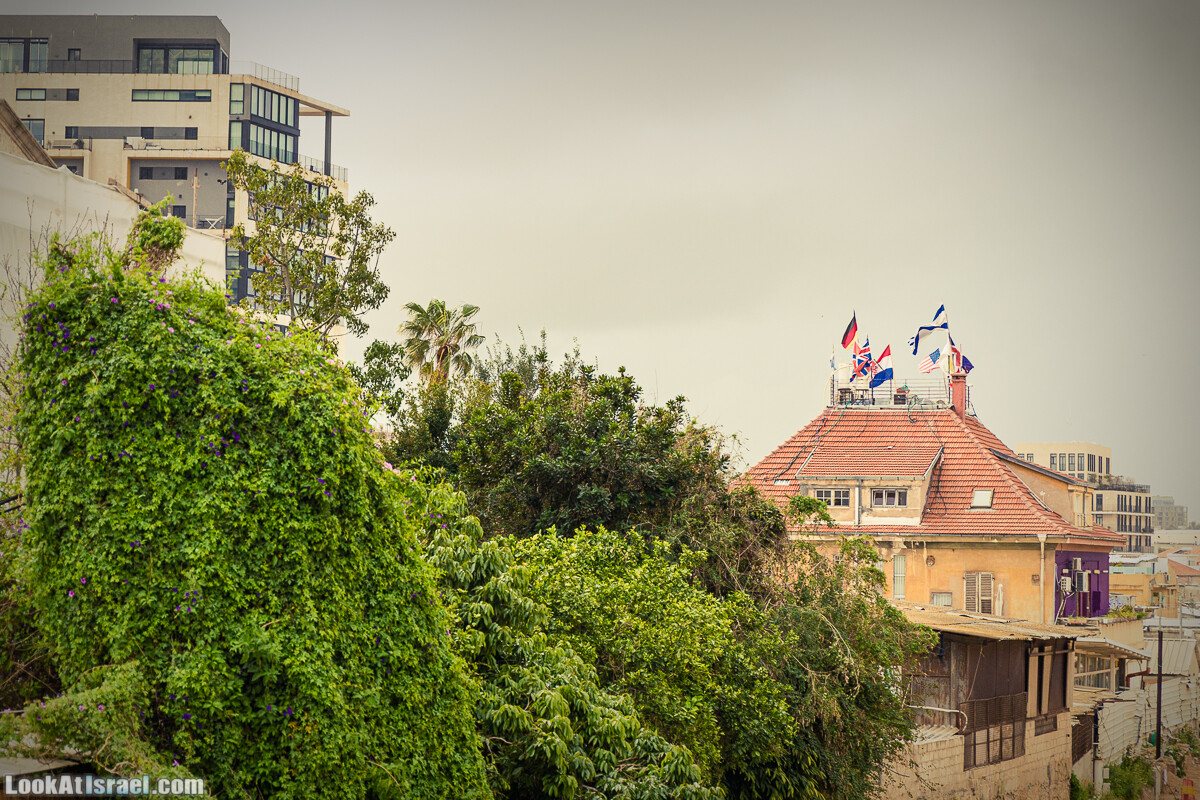 Случайные фотографии из жизни Тель-Авива | LookAtIsrael.com - Фото путешествия по Израилю