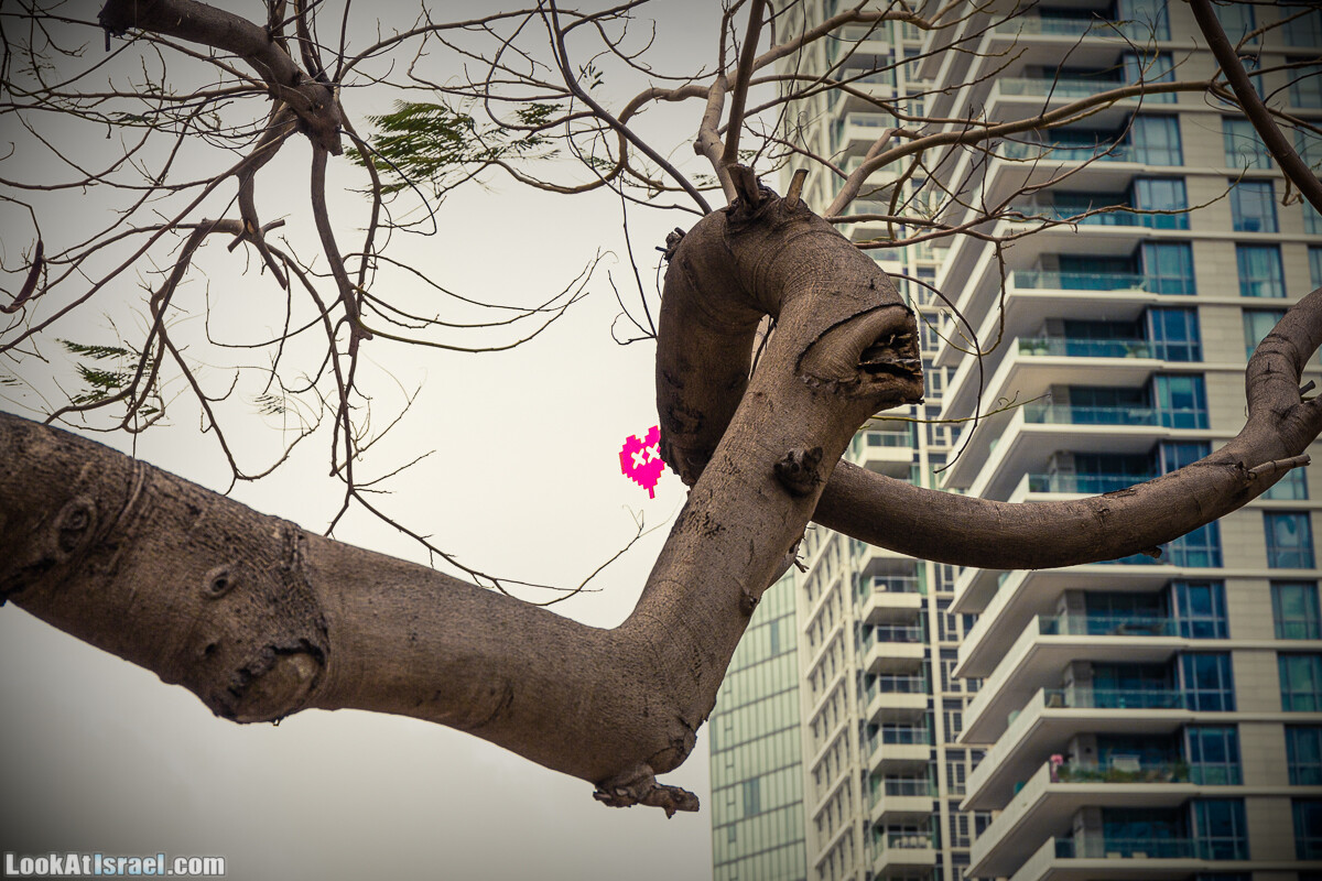 Случайные фотографии из жизни Тель-Авива | LookAtIsrael.com - Фото путешествия по Израилю