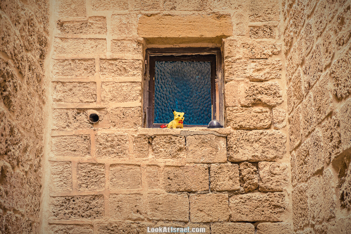 Случайные фотографии из жизни Тель-Авива | LookAtIsrael.com - Фото путешествия по Израилю