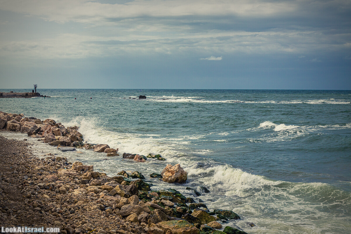 Случайные фотографии из жизни Тель-Авива | LookAtIsrael.com - Фото путешествия по Израилю