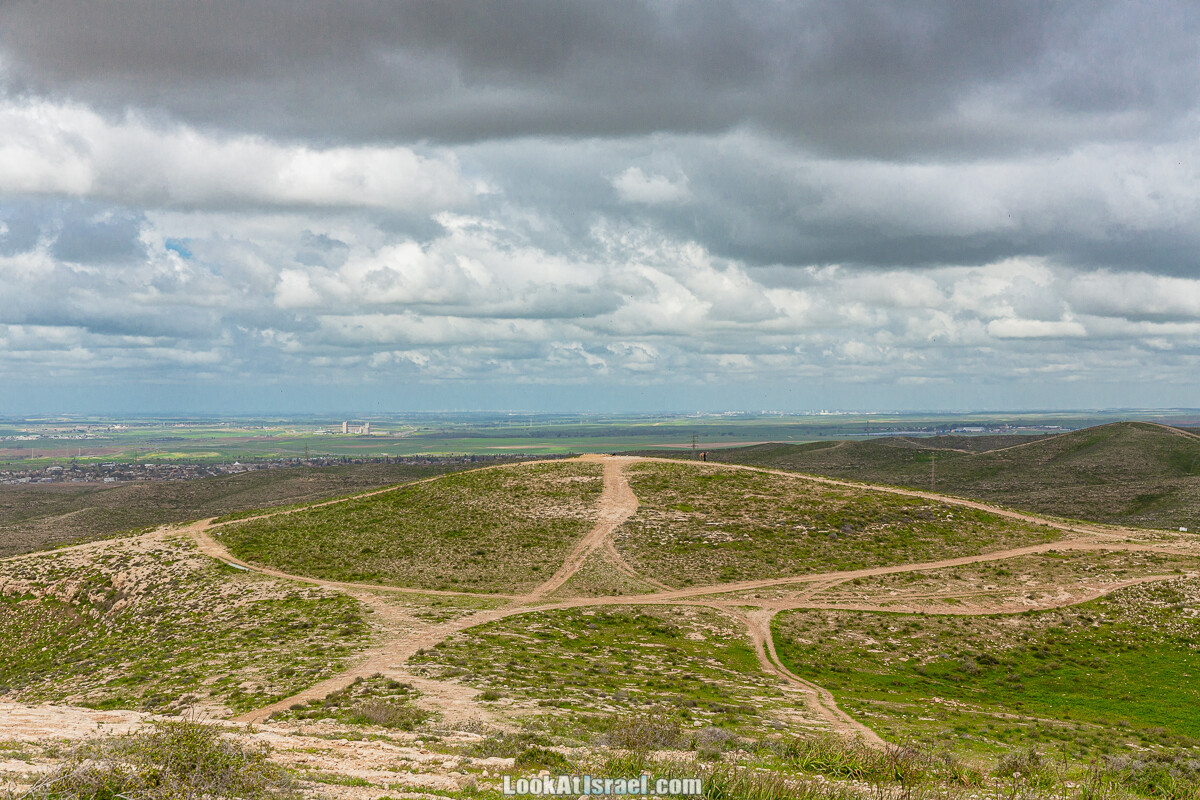 Цветение в на Гивот Гораль и окрестностях | LookAtIsrael.com - Фото путешествия по Израилю