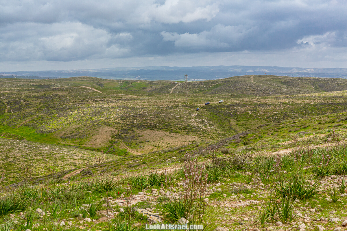Цветение в на Гивот Гораль и окрестностях | LookAtIsrael.com - Фото путешествия по Израилю