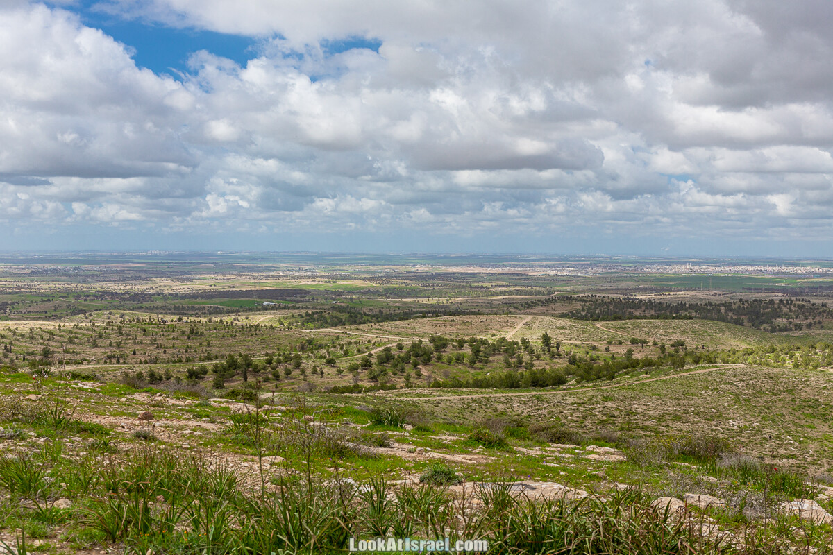 Цветение в на Гивот Гораль и окрестностях | LookAtIsrael.com - Фото путешествия по Израилю