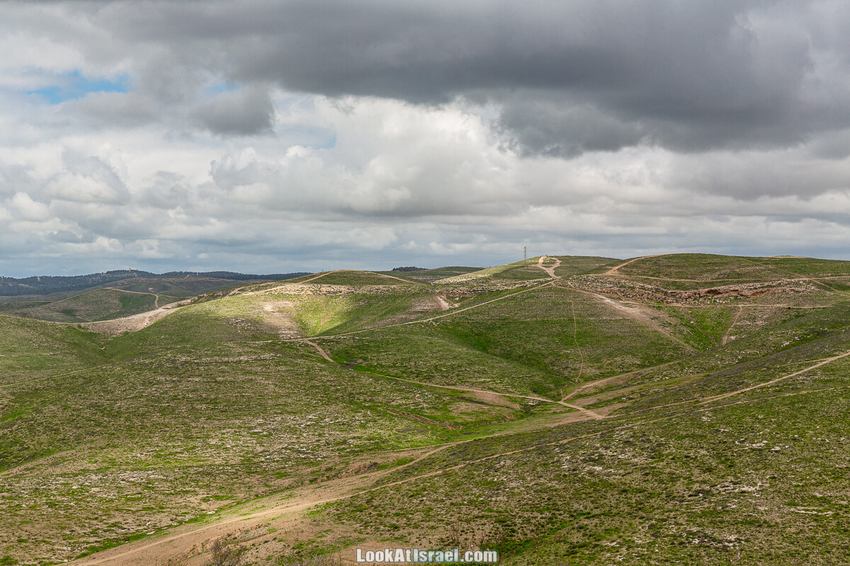 Цветение в на Гивот Гораль и окрестностях | LookAtIsrael.com - Фото путешествия по Израилю