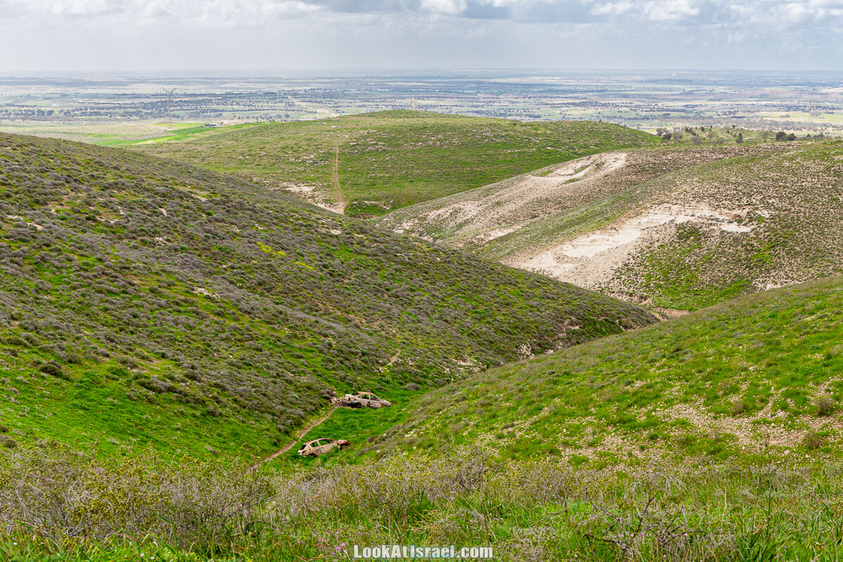 Цветение в на Гивот Гораль и окрестностях | LookAtIsrael.com - Фото путешествия по Израилю