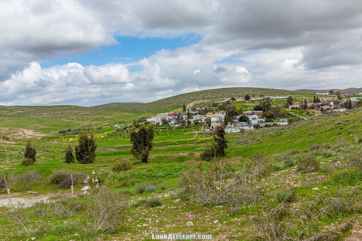 Цветение в на Гивот Гораль и окрестностях | LookAtIsrael.com - Фото путешествия по Израилю