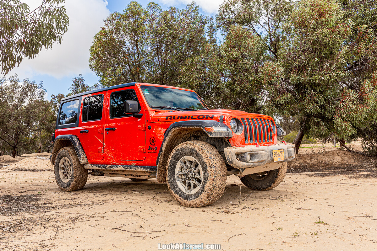 Цветение в на Гивот Гораль и окрестностях | LookAtIsrael.com - Фото путешествия по Израилю