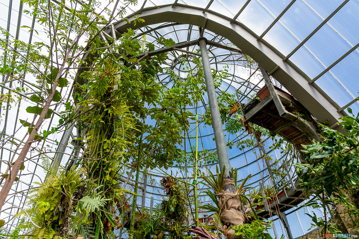 Ботанический сад Иерусалима, весна и цветение | LookAtIsrael.com - Фото путешествия по Израилю