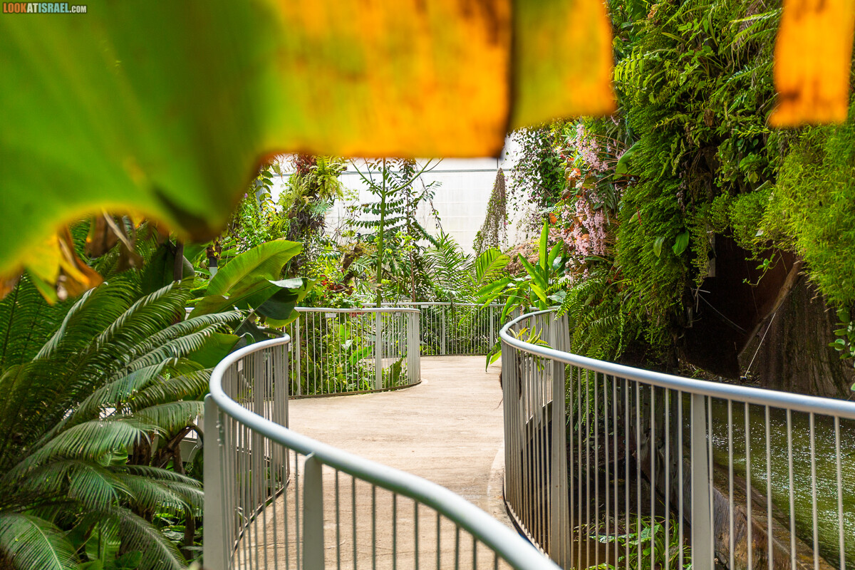 Ботанический сад Иерусалима, весна и цветение | LookAtIsrael.com - Фото путешествия по Израилю