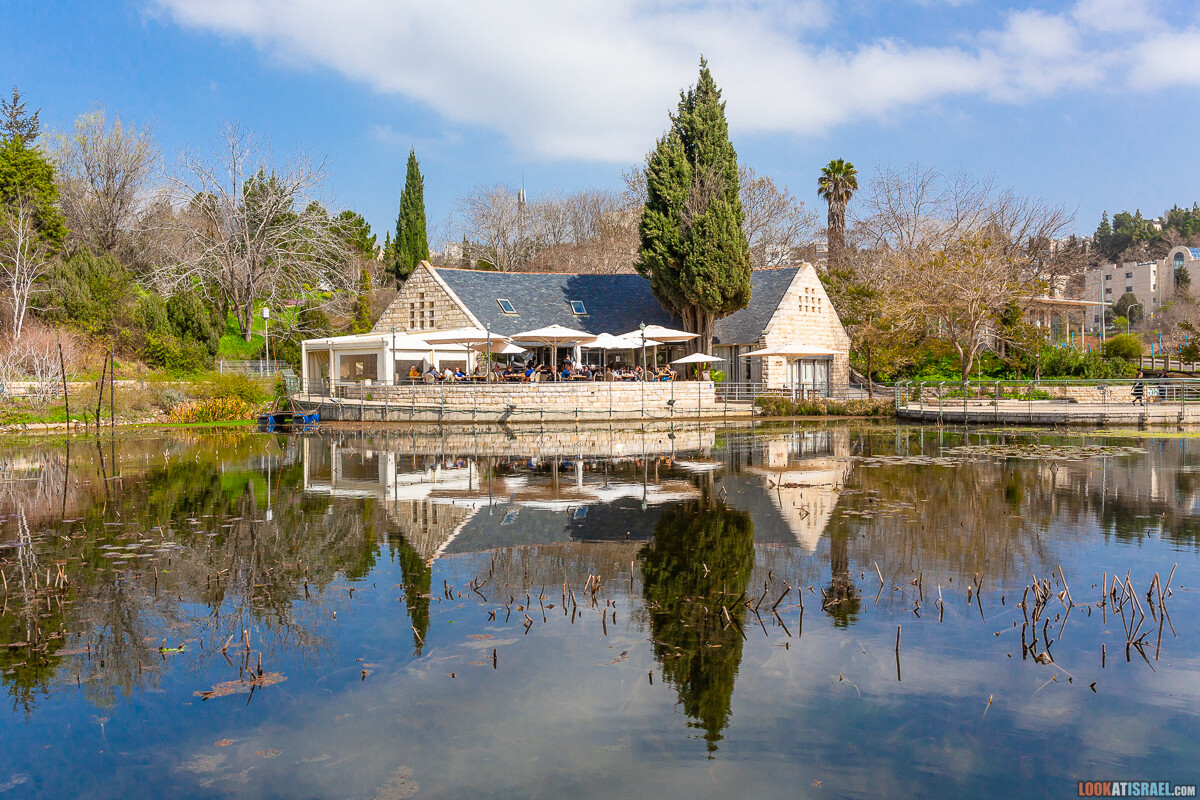 Ботанический сад Иерусалима, весна и цветение | LookAtIsrael.com - Фото путешествия по Израилю