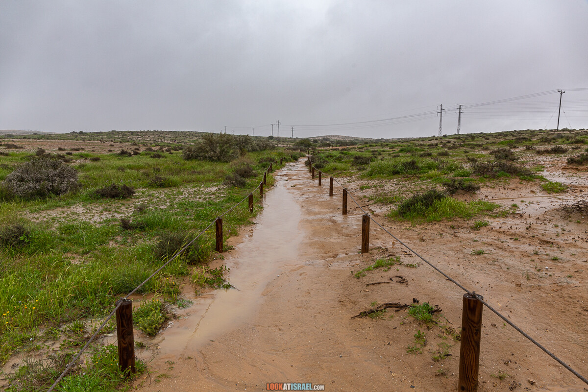 Ирис Йерухам | אירוס ירוחם | LookAtIsrael.com - Фото путешествия по Израилю