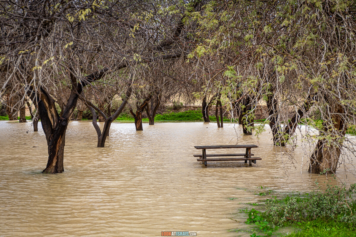 Наводнение ручья Цин | LookAtIsrael.com - Фото путешествия по Израилю