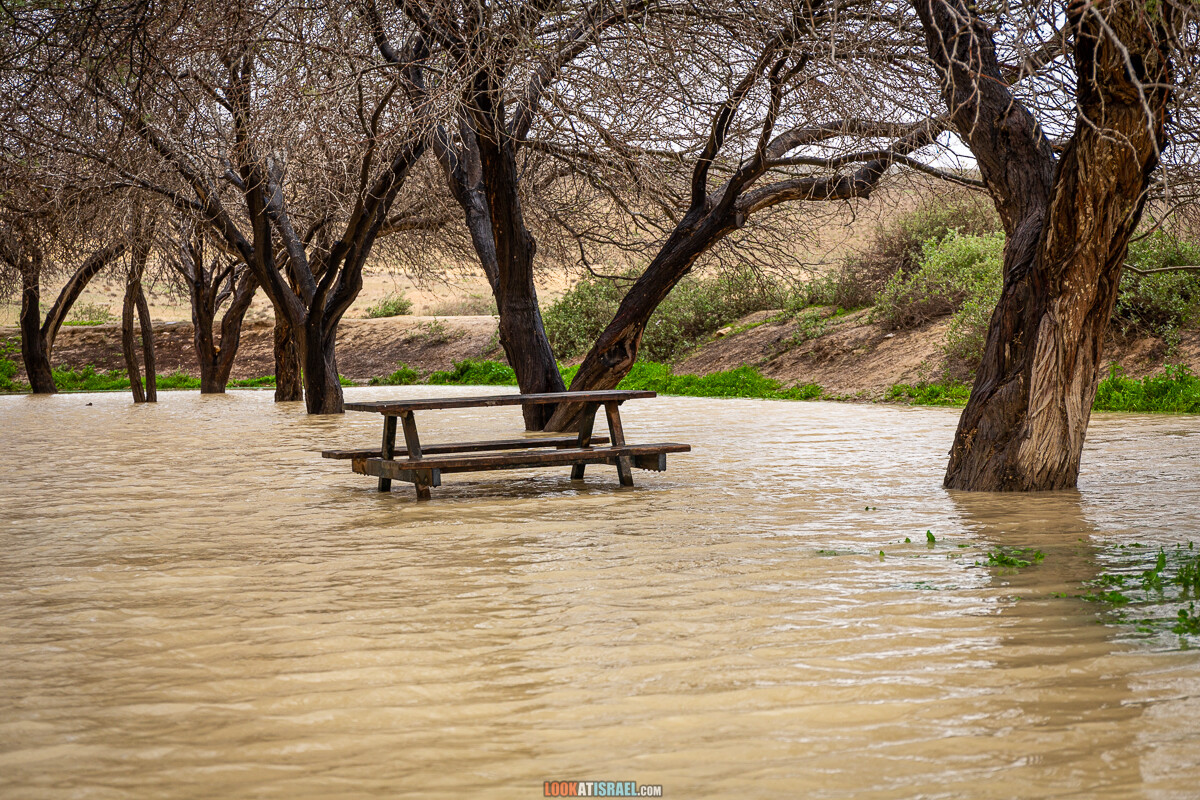 Наводнение ручья Цин | LookAtIsrael.com - Фото путешествия по Израилю