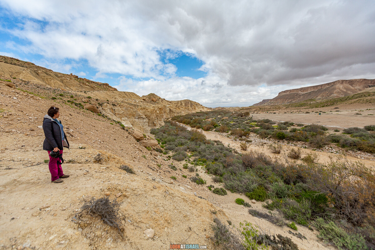 Наводнение ручья Цин | LookAtIsrael.com - Фото путешествия по Израилю