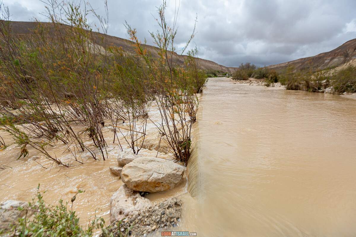 Наводнение ручья Цин | LookAtIsrael.com - Фото путешествия по Израилю