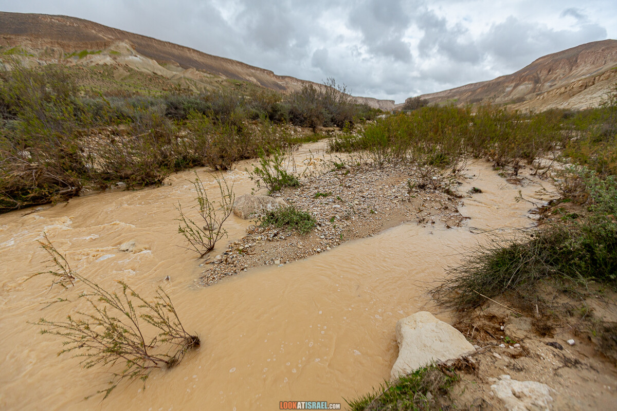 Наводнение ручья Цин | LookAtIsrael.com - Фото путешествия по Израилю