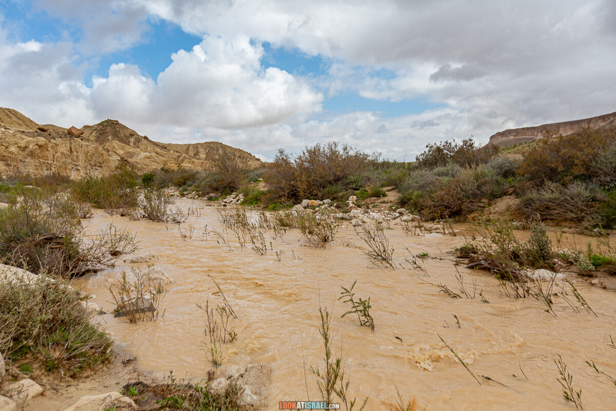 Наводнение ручья Цин | LookAtIsrael.com - Фото путешествия по Израилю