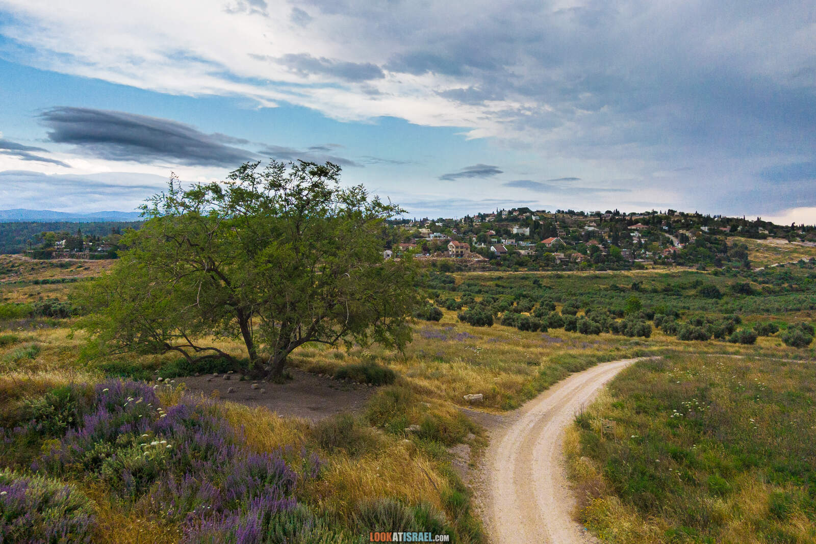 Первое путешествие после карантина, Тель Гезер