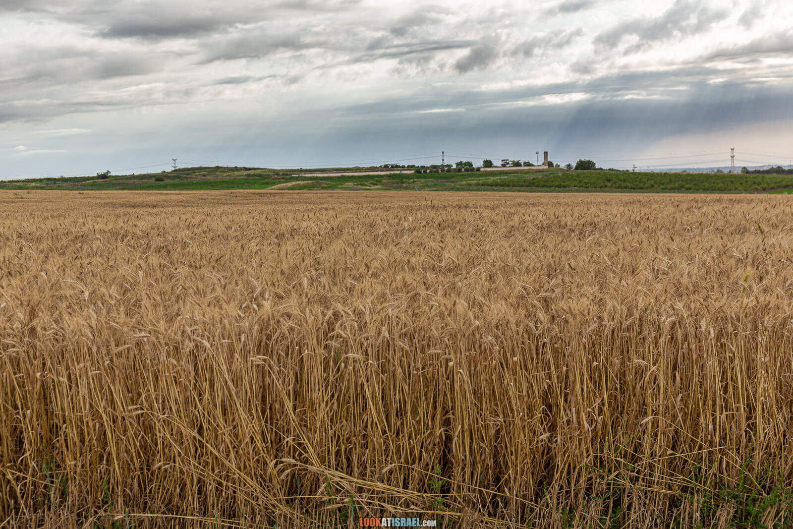 Первая вылазка на природу после месяца карантина. Тель Гезер | LookAtIsrael.com - Фото путешествия по Израилю