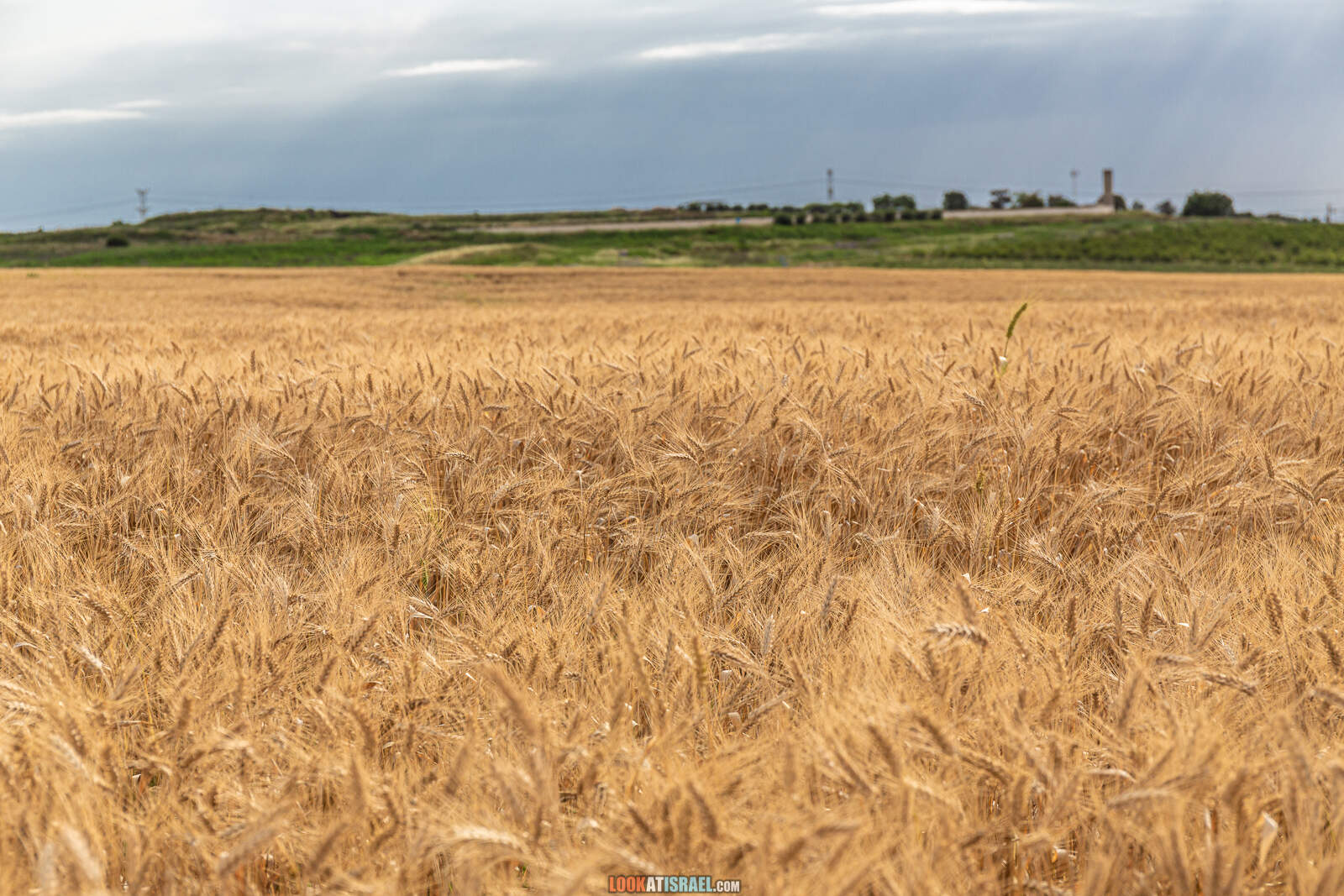 Первая вылазка на природу после месяца карантина. Тель Гезер | LookAtIsrael.com - Фото путешествия по Израилю