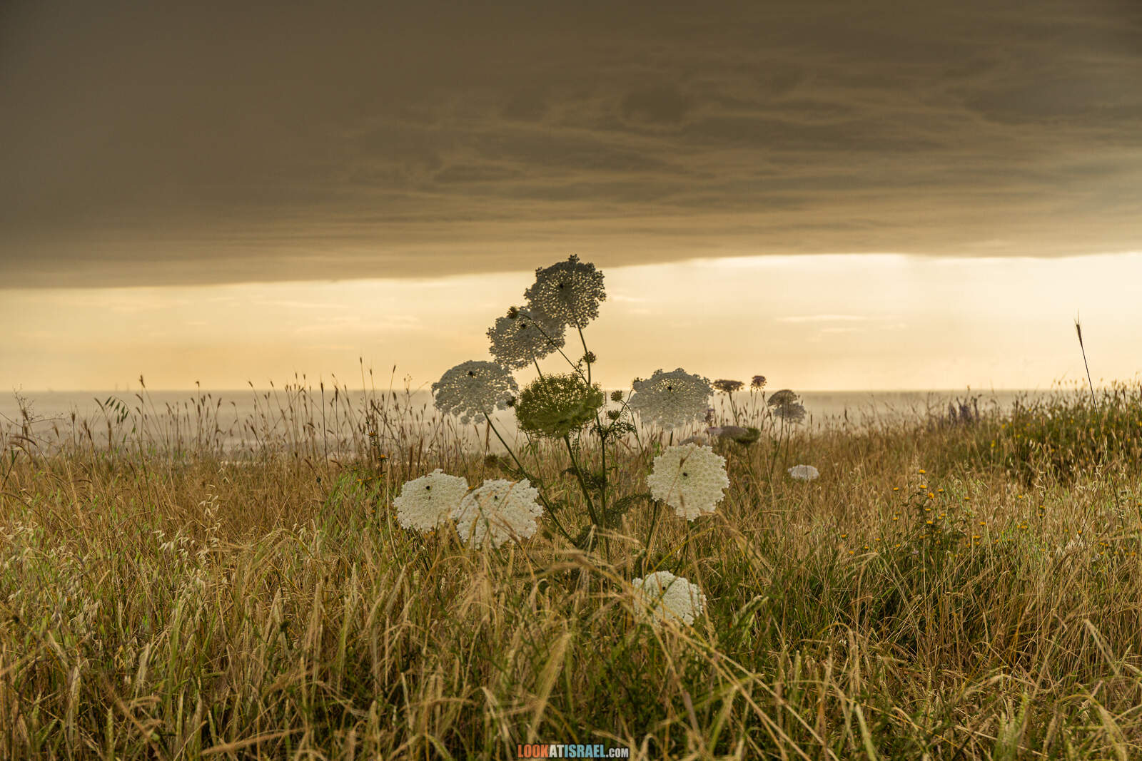 Первая вылазка на природу после месяца карантина. Тель Гезер | LookAtIsrael.com - Фото путешествия по Израилю