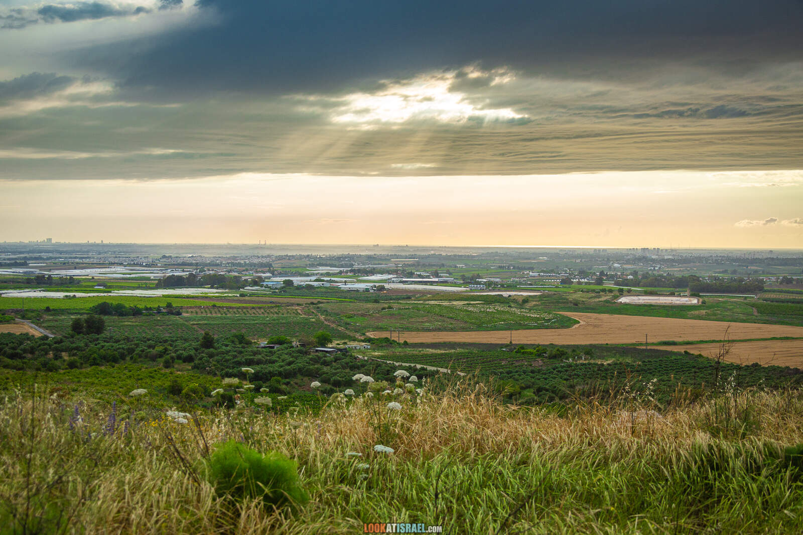 Первая вылазка на природу после месяца карантина. Тель Гезер | LookAtIsrael.com - Фото путешествия по Израилю