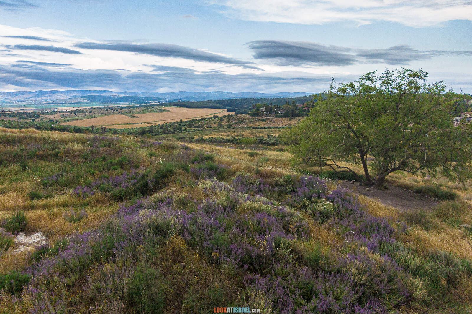 Первая вылазка на природу после месяца карантина. Тель Гезер | LookAtIsrael.com - Фото путешествия по Израилю