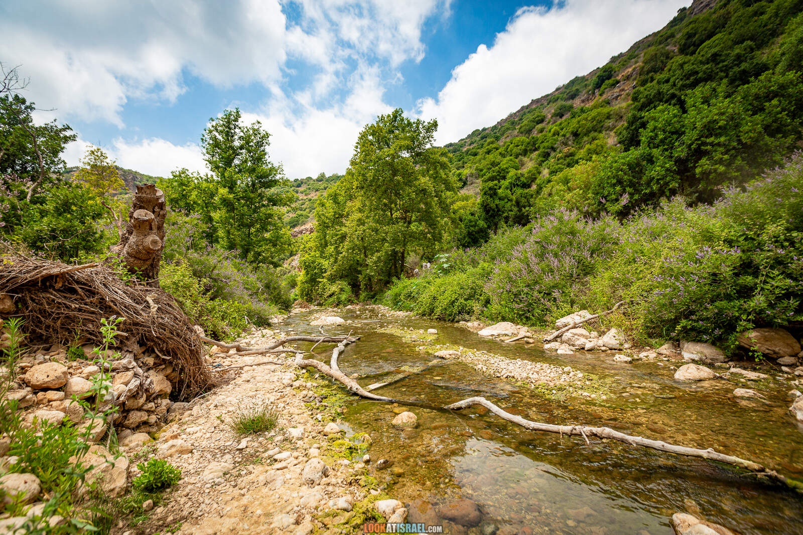 Поход по ручью Кзив. от источника Эйн Харделит до источника Эйн Тамир