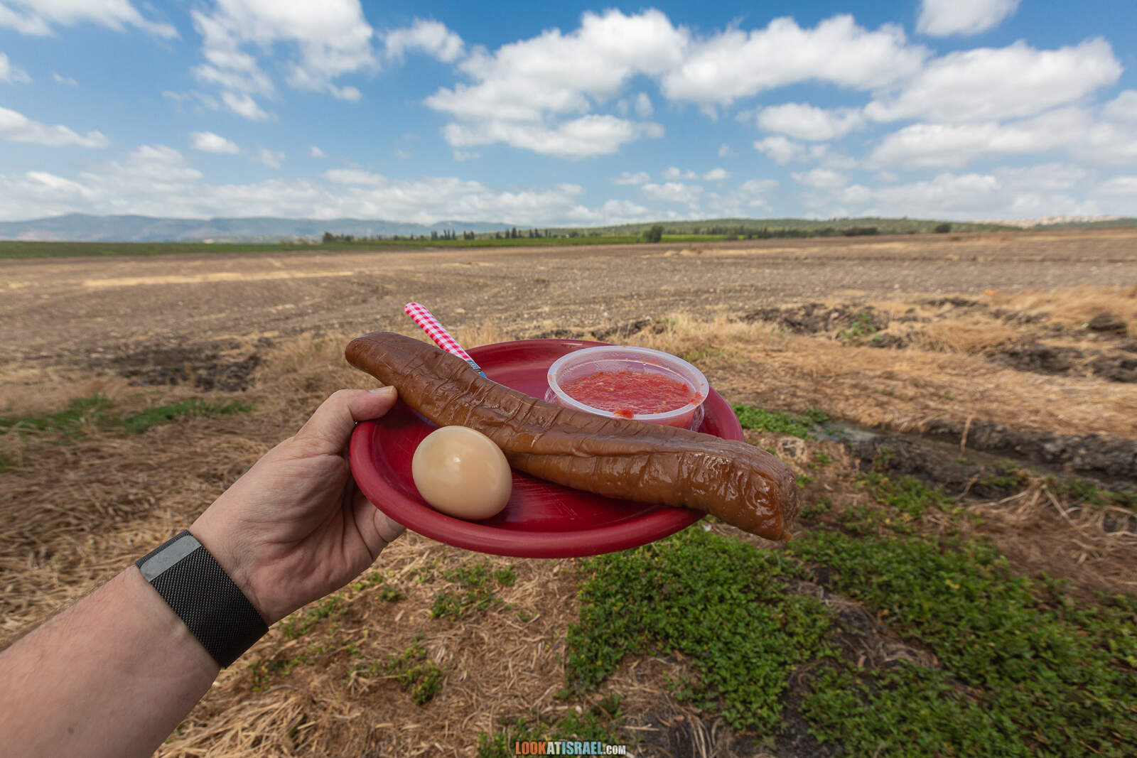 Путешествие на внедорожниках по Галилее. Ручей нахаль Ципори