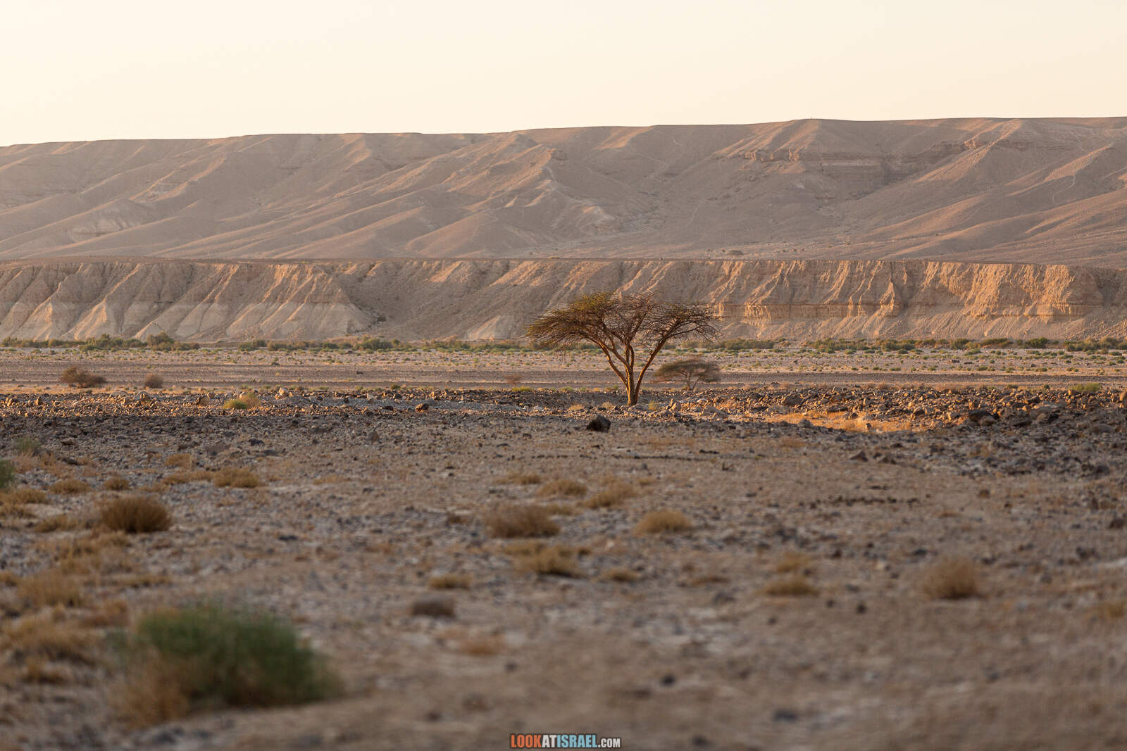 На внедорожнике вокруг махтеш Рамон, ручьи Афифон и Рамон