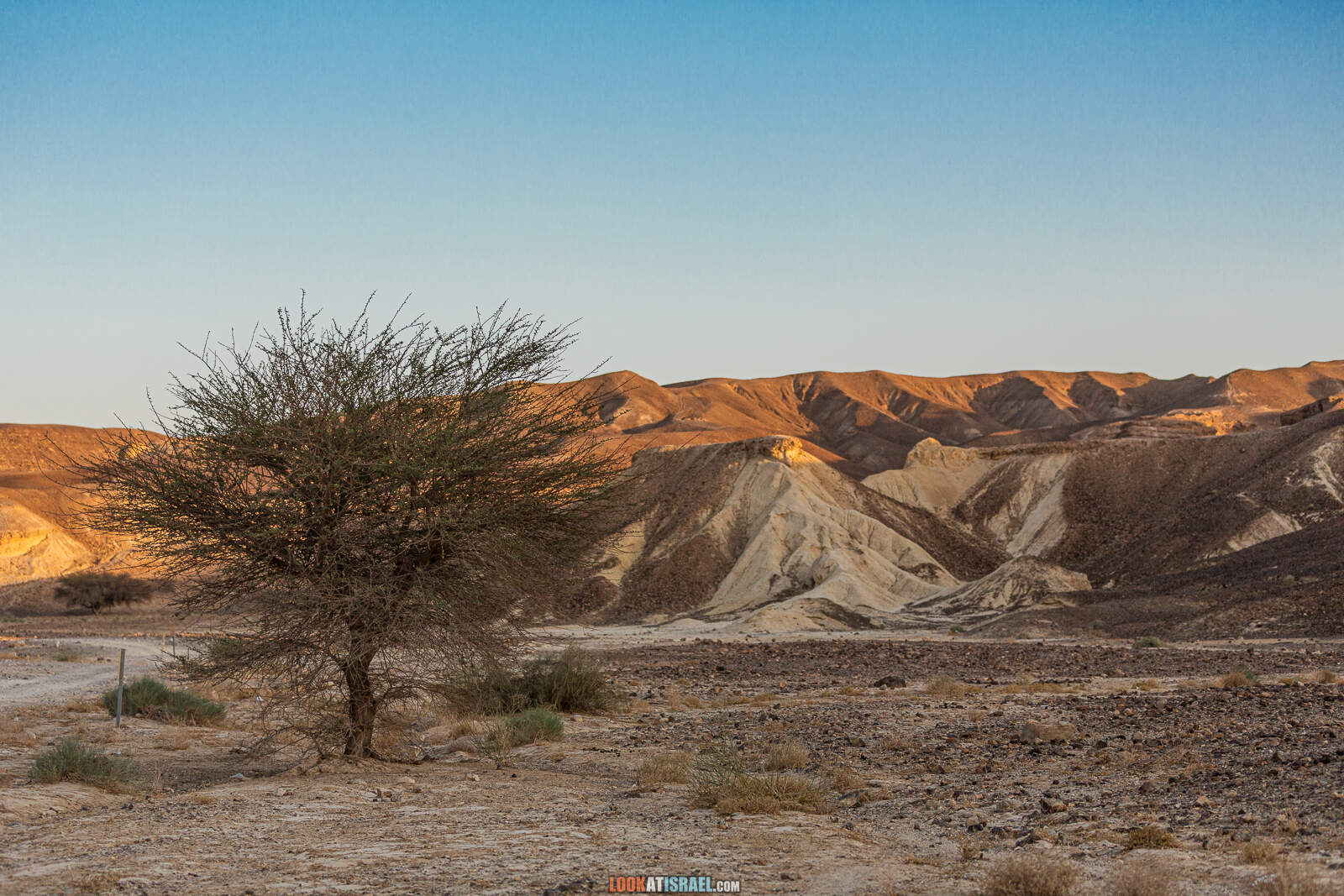 На внедорожнике вокруг махтеш Рамон, ручьи Афифон и Рамон