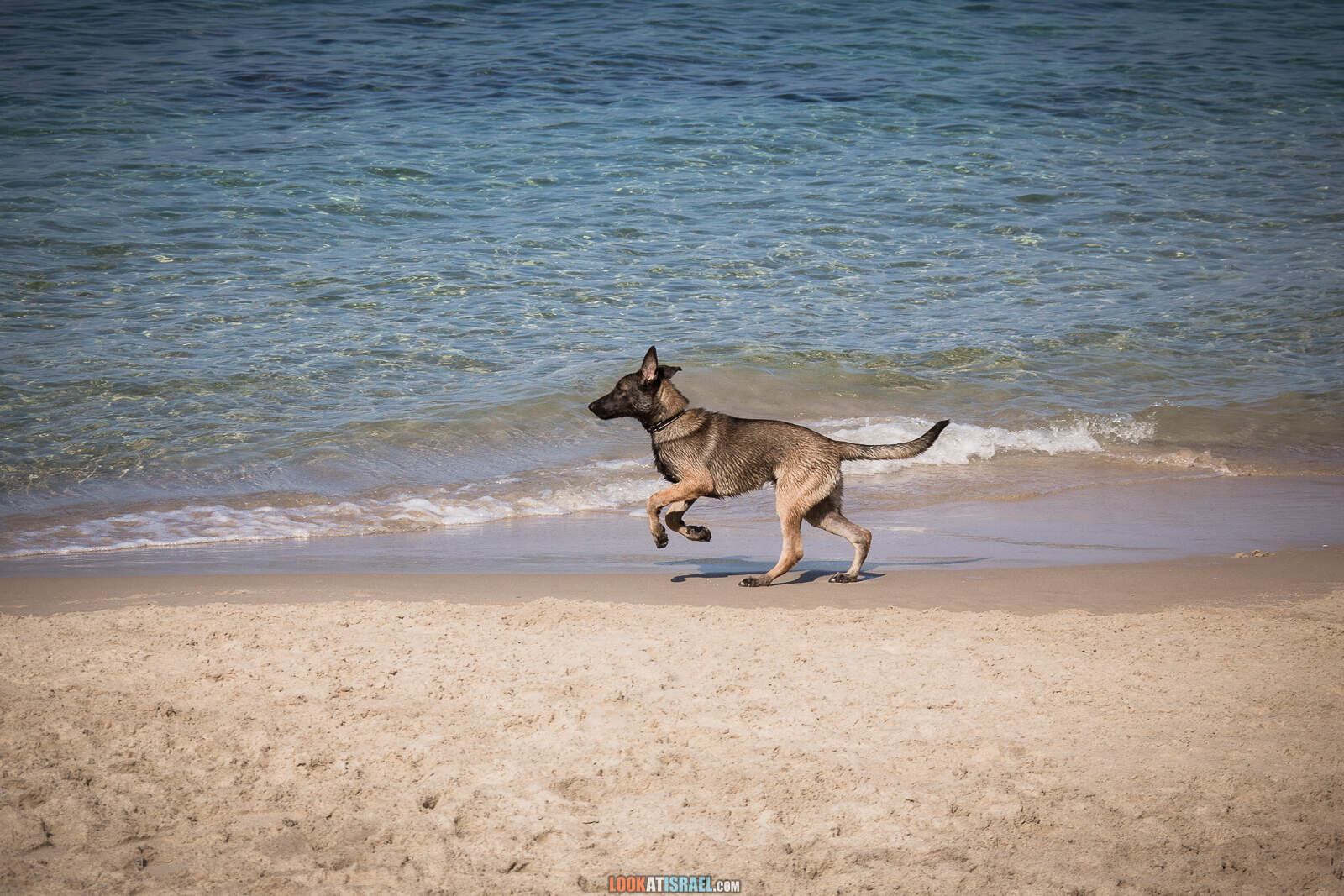Пляжи и набережная Тель-Авива во время карантина