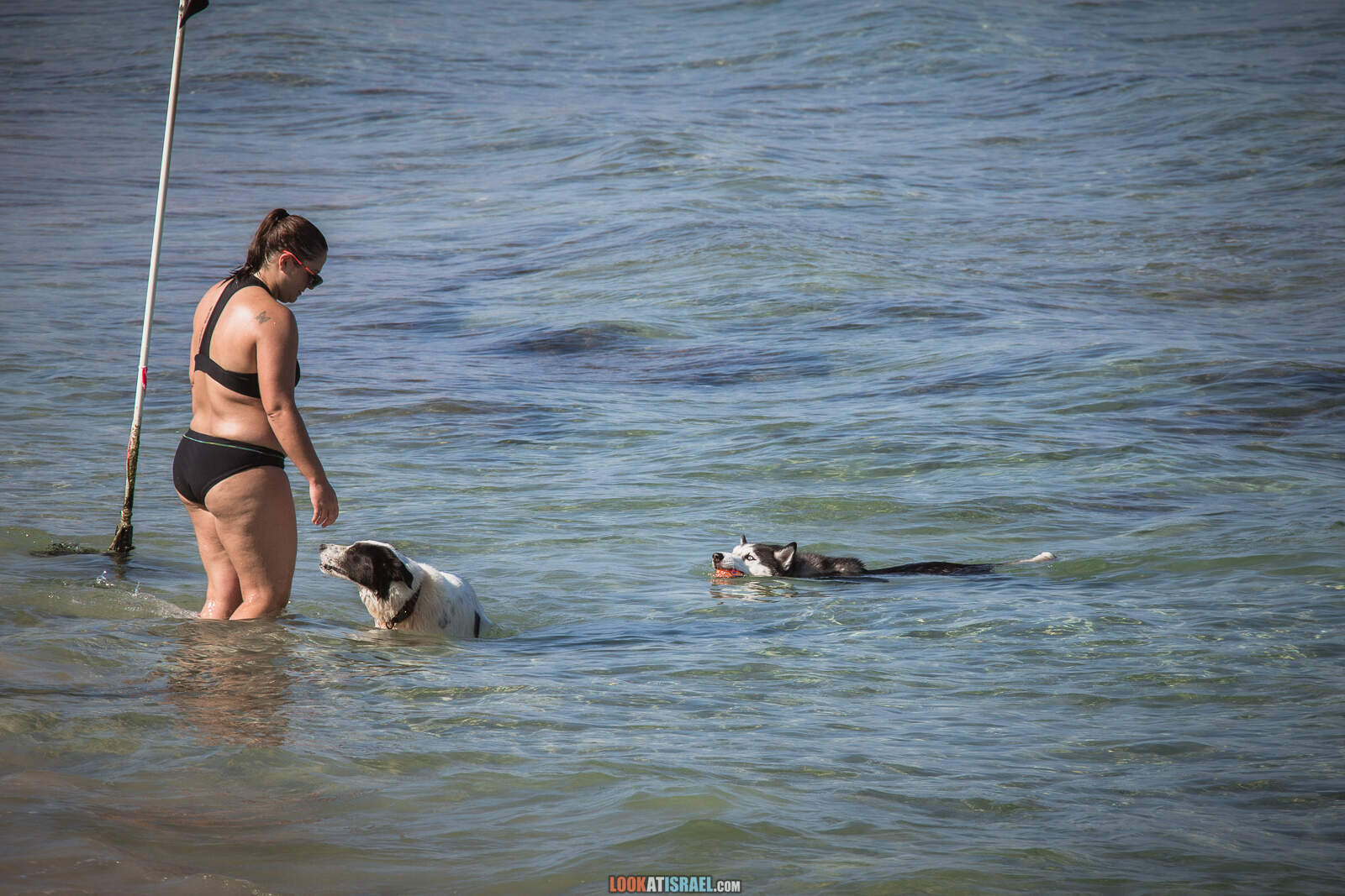 Пляжи и набережная Тель-Авива во время карантина