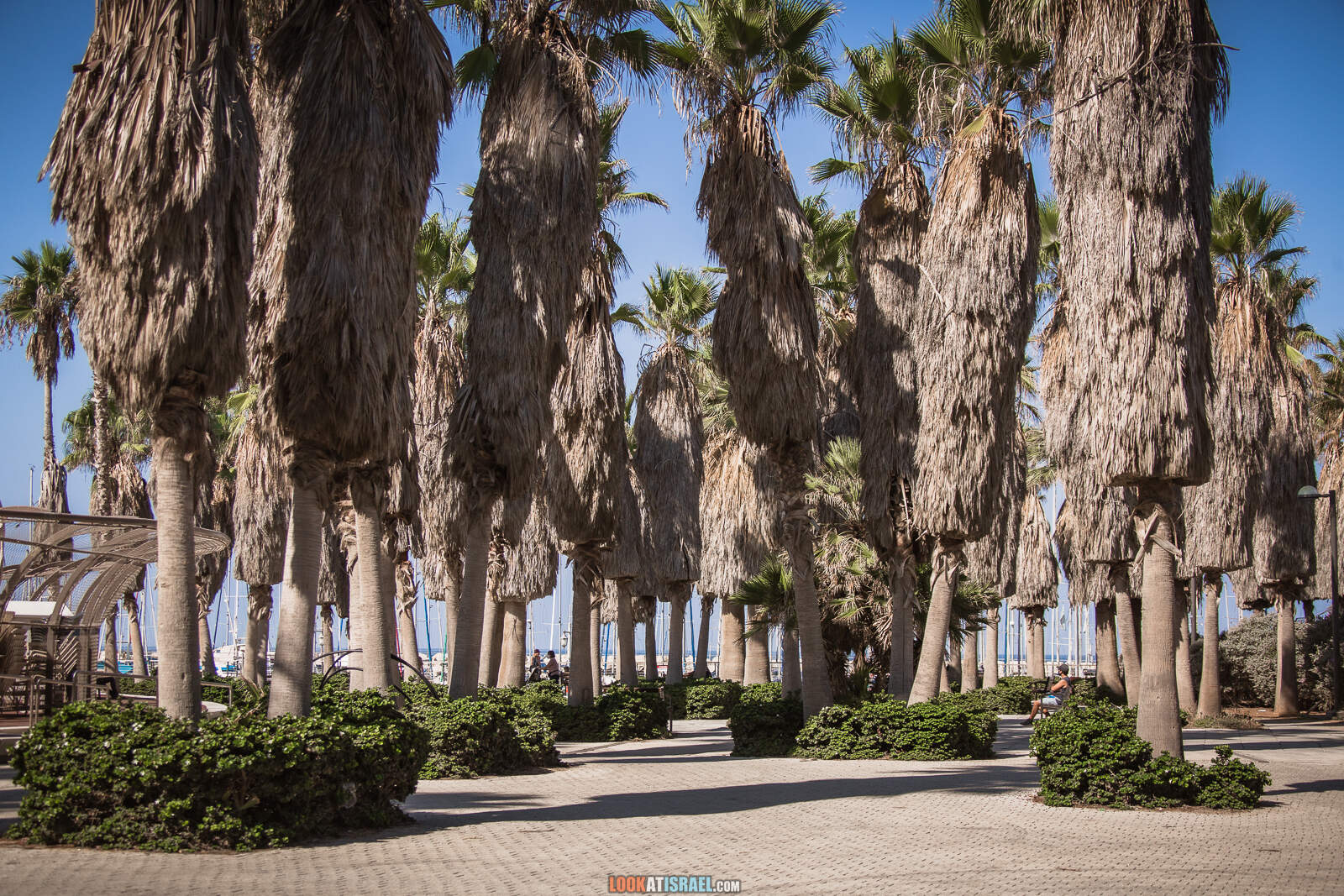 Пляжи и набережная Тель-Авива во время карантина | Lockdown on beaches of Tel Aviv | LookAtIsrael.com - Фото путешествия по Израилю