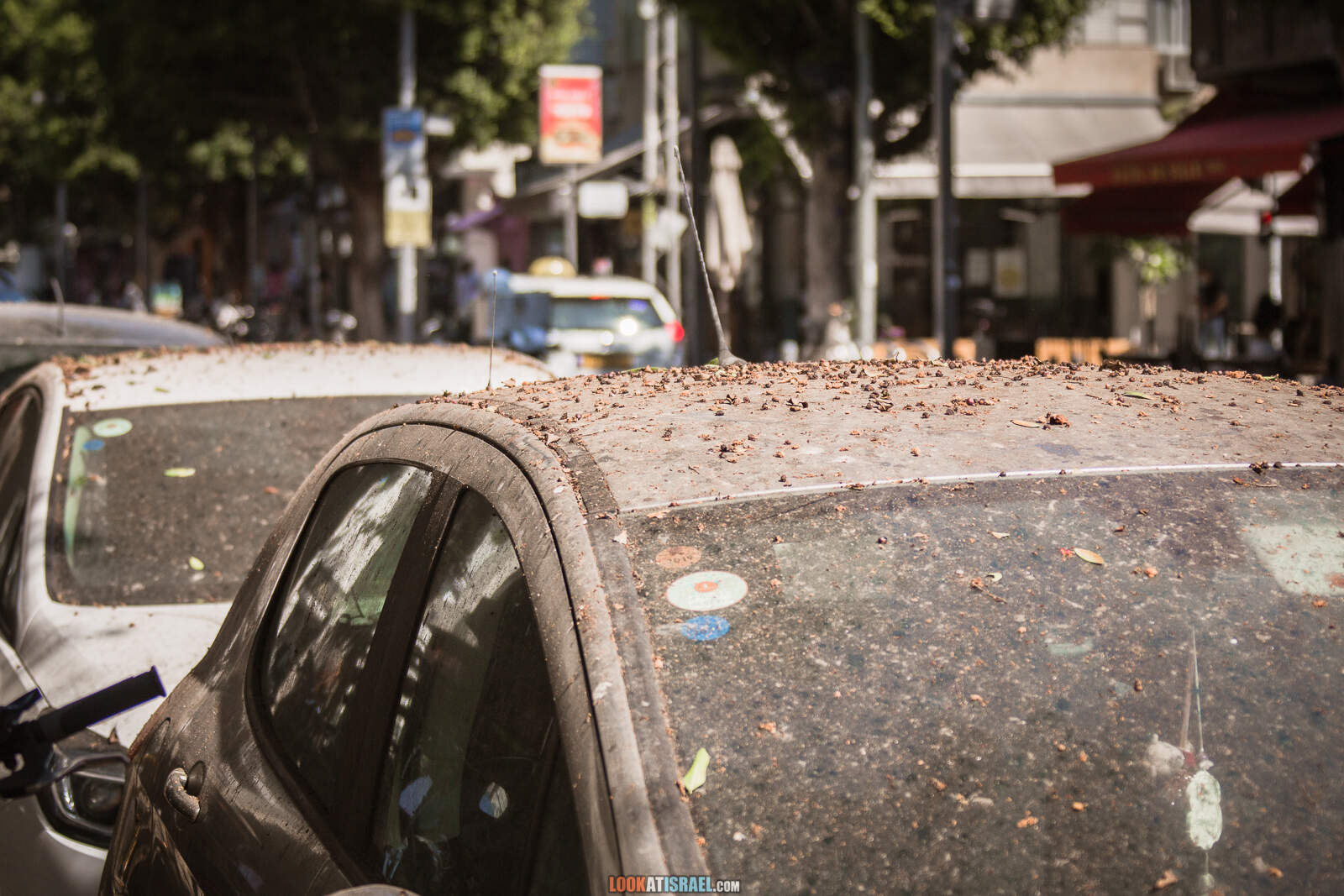 Тель-Авив, улицы Дизенгофф и Бен Гурион во время карантина